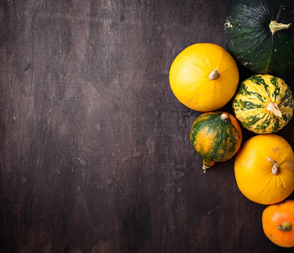 Assortment of decorative pumpkins. Autumn background — Stock Photo, Image
