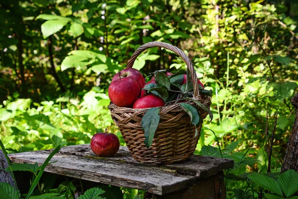 Roter reifer Apfel im Korb — Stockfoto