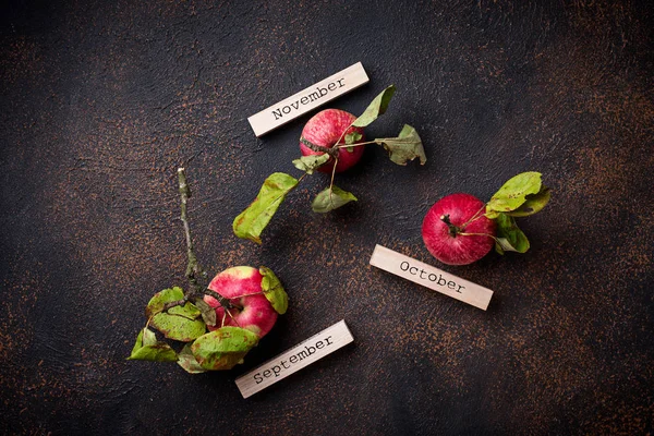 Kreativ efterårsbaggrund med æbler - Stock-foto