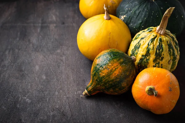 Assortiment de citrouilles décoratives. Fond d'automne — Photo