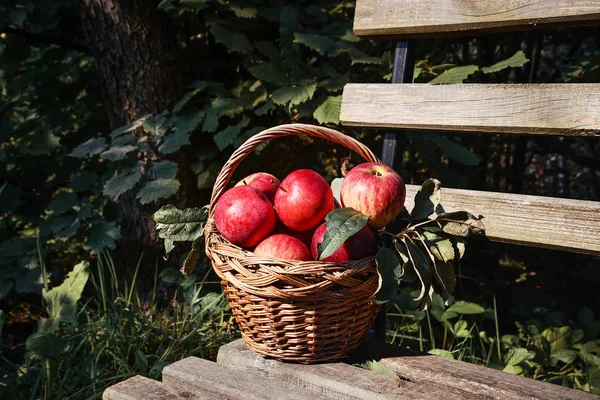 Roter reifer Apfel im Korb — Stockfoto