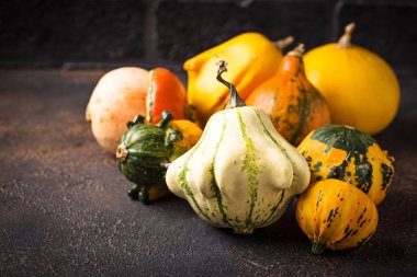 Dekoratif renkli kabak koyu arka plan üzerinde ürün yelpazesine