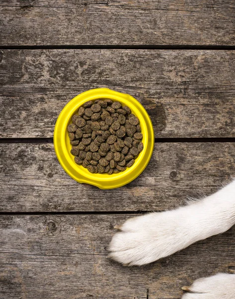 犬足および乾燥栄養のボウル。ペット食品のコンセプト — ストック写真