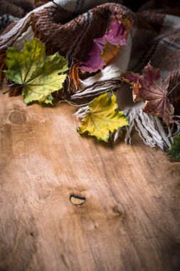 Ekose ve yaprakları ile sonbahar arka plan