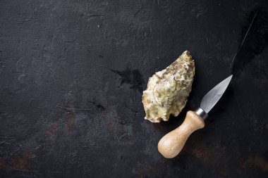 Koyu arka plan üzerinde taze istiridye