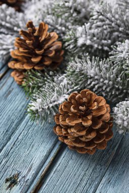 Çam kozalakları ile Noel ve yeni yıl festival arka plan