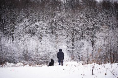 Kış ormandaki köpeğiyle yürüyen adam