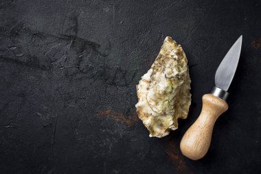 Koyu arka plan üzerinde taze istiridye. Üstten görünüm