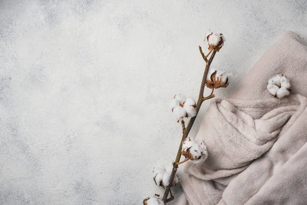 コットン ブランチと明るい背景に毛布 — ストック写真