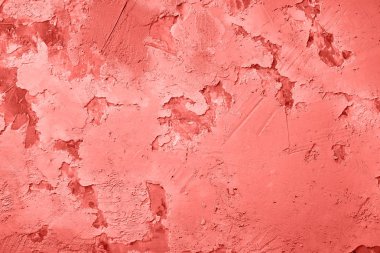 Yaşam mercan dokulu beton arka plan