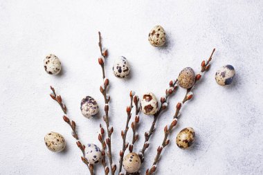 Bıldırcın yumurtası ve Kukum Paskalya arka plan