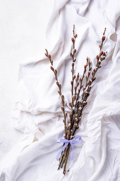 Fondo de Pascua con sauce coño — Foto de Stock