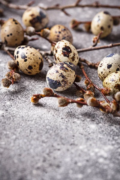 Ovos de codorna sobre fundo cinzento — Fotografia de Stock