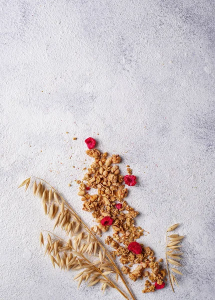 Hausgemachtes Müsli mit getrockneten Beeren — Stockfoto