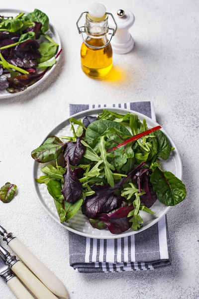 Směs listových salátů zelené — Stock fotografie