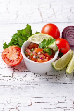 Geleneksel Meksika domates salsa sos