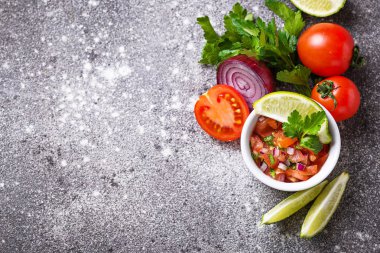 Geleneksel Meksika domates salsa sos