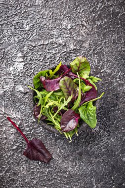 Yeşil salata karışımı yaprakları