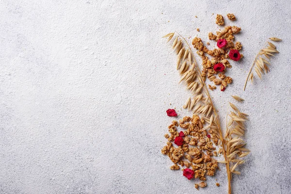 Hausgemachtes Müsli mit getrockneten Beeren — Stockfoto