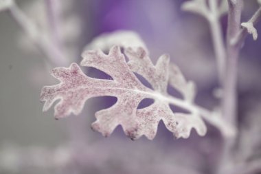 Yeşil yapraklı çiçek arkaplanı