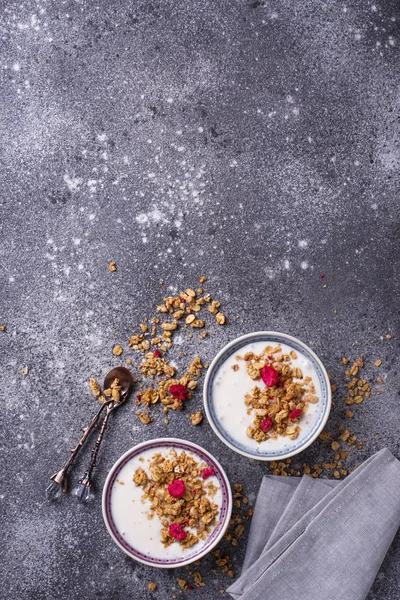 Granola com iogurte e framboesas secas — Fotografia de Stock