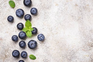 Açık arka planda taze yaban mersini