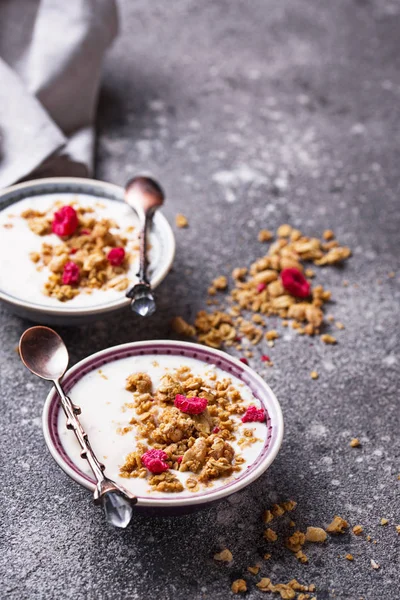 Granola yoğurt ve kurutulmuş frambuaz
