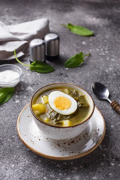 Соррельский суп или зеленый борщ с яйцами — стоковое фото