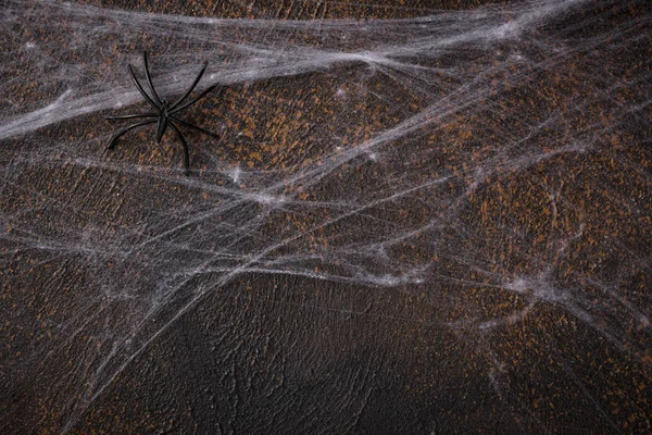 Halloween fond avec toile d'araignée — Photo
