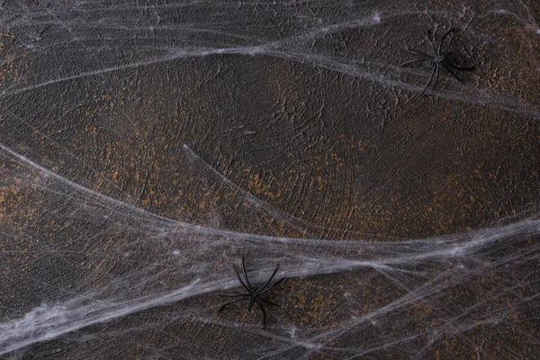 Fundo de Halloween com teia de aranha — Fotografia de Stock