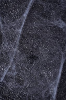 Halloween geçmiş örümcek ağı ile