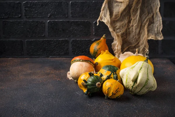 Surtido de calabazas coloridas decorativas — Foto de Stock