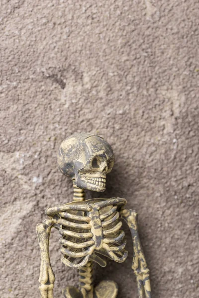 Halloween festive background with skeleton — Stock Photo, Image