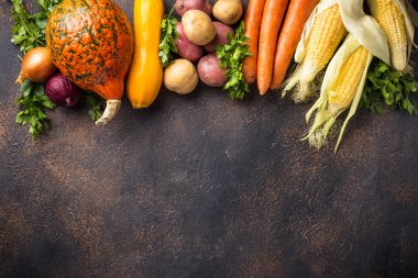 Çeşitli sonbahar sebzeleri. Hasat konsepti