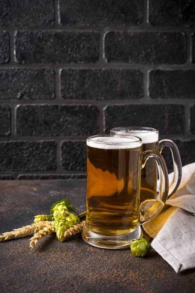 Becher Bier, Hopfen und Malz — Stockfoto