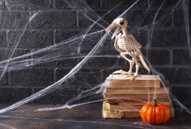 Kuş iskelet ile Cadılar Bayramı arka plan