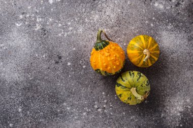 Gri küçük dekoratif organik kabaklar