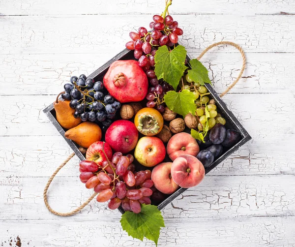 Çeşitli sonbahar meyveleri. Hasat konsepti