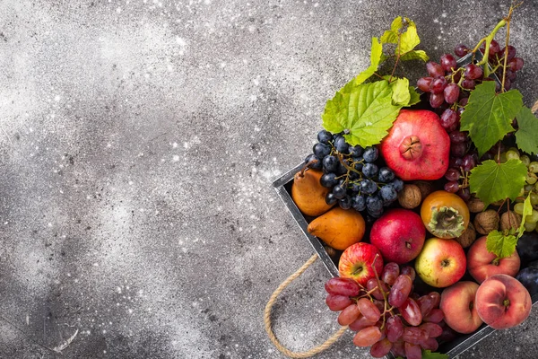 Varias frutas de otoño. Concepto de cosecha —  Fotos de Stock