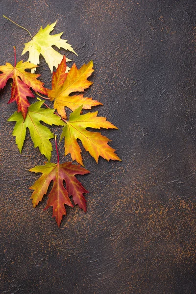 Jesienne tło z liśćmi klonu — Zdjęcie stockowe