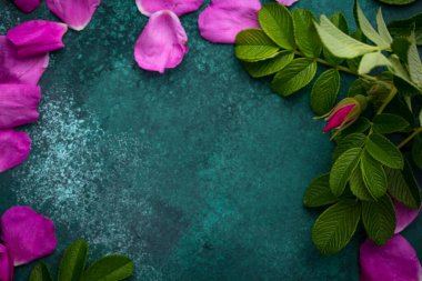 Yapraklı pembe kalça yaprağı.