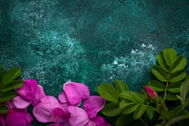 Yapraklı pembe kalça yaprağı.