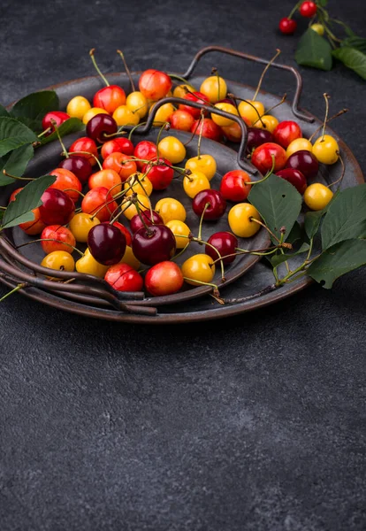 Cerise fraîche mûre rouge et jaune — Photo