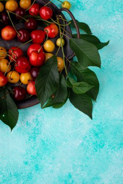Taze kırmızı ve sarı kiraz