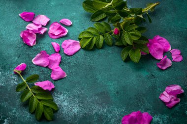 Yapraklı pembe kalça yaprağı.