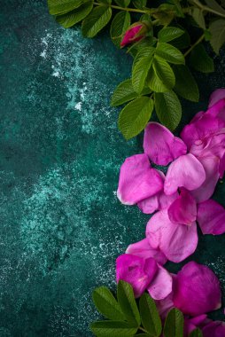 Yapraklı pembe kalça yaprağı.