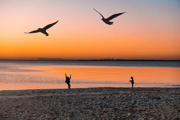 Silhouetten Van Kinderen Spelen Het Strand Bij Zonsondergang Met Vogels — Stockfoto