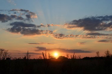 Cirrus bulutları ile gün batımı