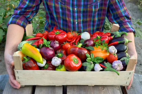 Frisches Gemüse in einer Schachtel — Stockfoto