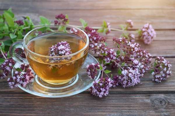 Cam bir fincanda aromatik bitki çayı ve taze kekik çiçekleri.